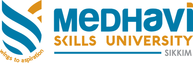 MEDHAVI SKILLS UNIVERSITY